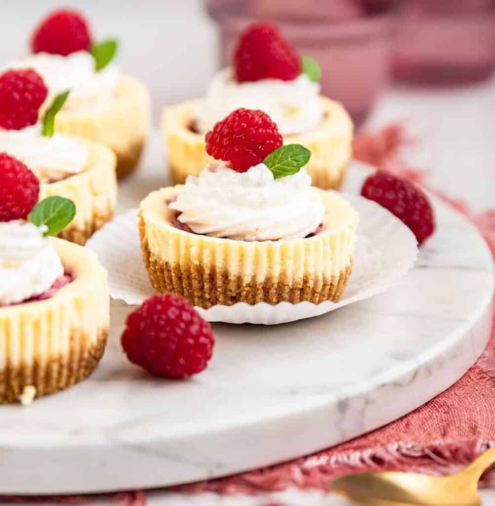 Mini Raspberry Cheesecakes Raspberry Swirl Mini Cheesecakes - The Savory Cipolla