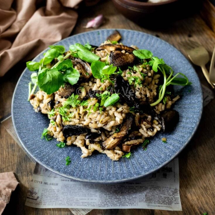 A blue plate with mushroom risotto topped with fresh green herbs.