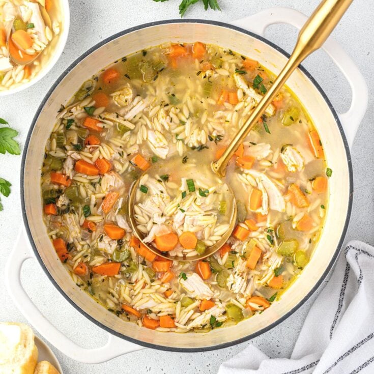 A large dutch oven with orzo pasta, diced carrots, celery and shredded turkey in a light soup broth.